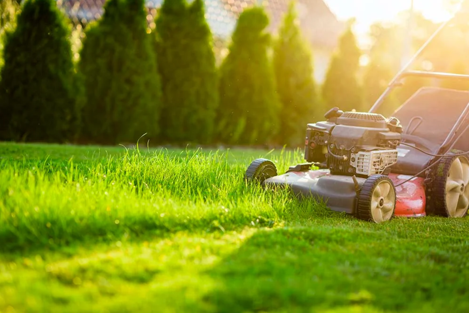 Lawn Mowing Service