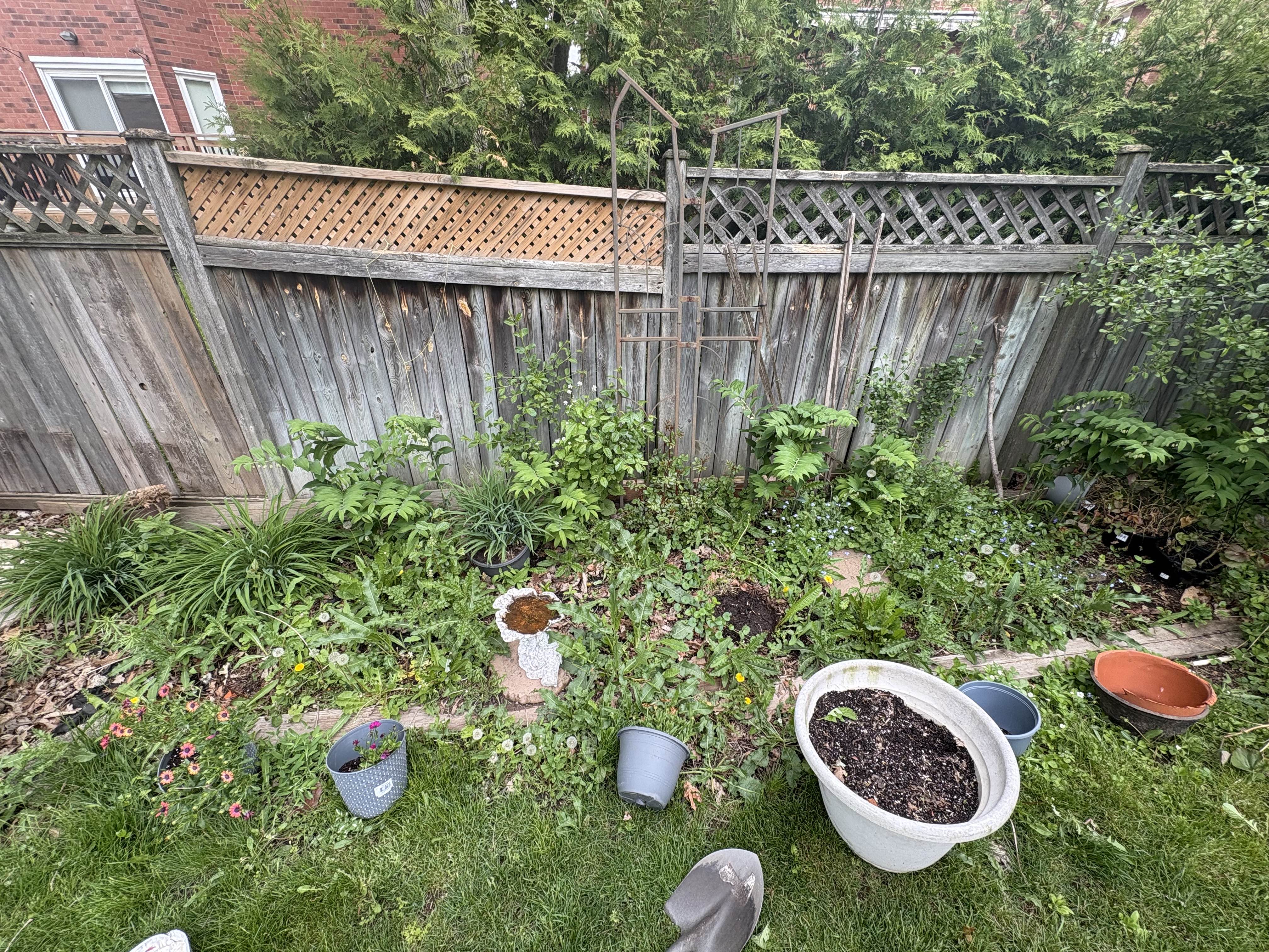 Landscaping Service