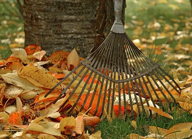 Seasonal Cleanup Service